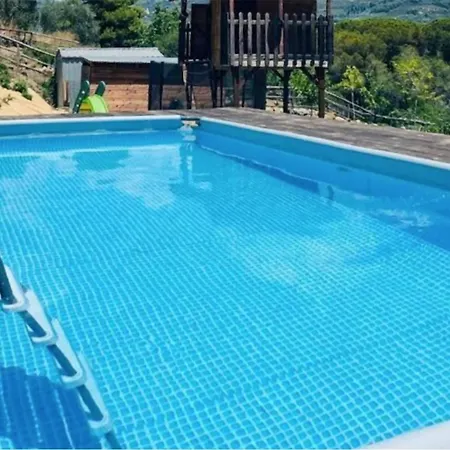 Gorgeous In With Outdoor Swimming Pool