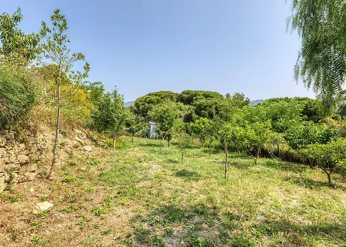 Holiday home 3 Bedroom Pet Friendly In